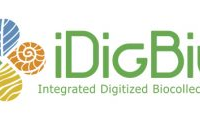 Logo for iDigBio: Integrated Digitized Biocollections