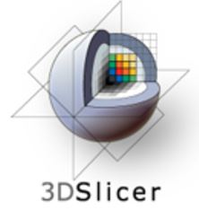 3D Slicer Training