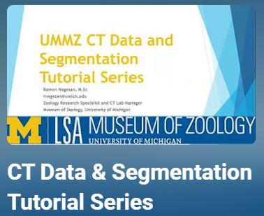 Ecology and Evolutionary Biology Museums YouTube Channel, CT Data & Segmentation Tutorial Series