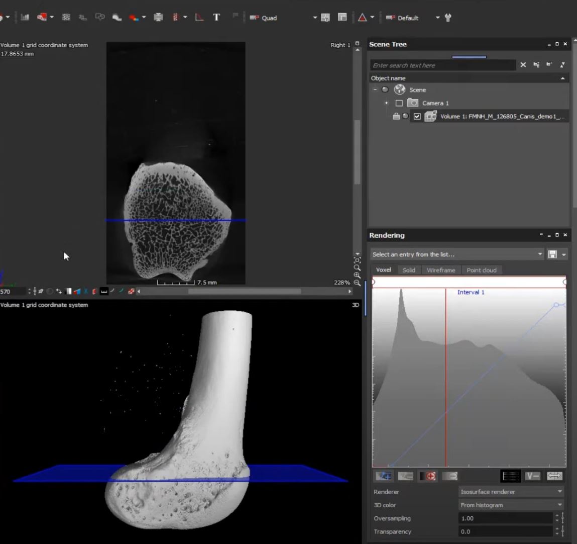 Data Processing Basics in VG Studio